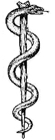 Rod of asclepius.jpg