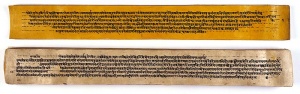 A copy of the tantric work Nihsvasatattvasamhita.jpg